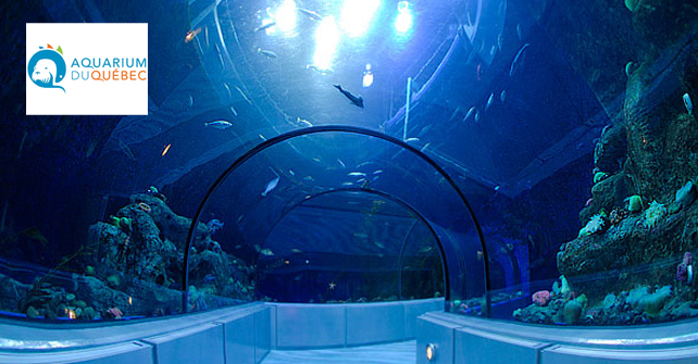 aquarium quebec