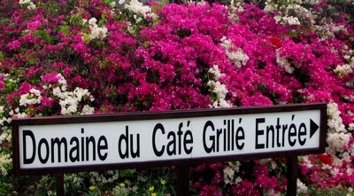 domaine-cafe-grille-reunion3