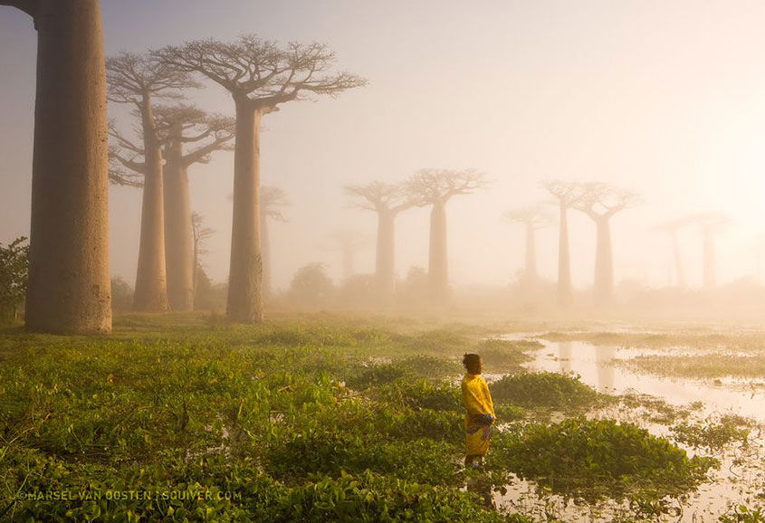 Photos du monde 