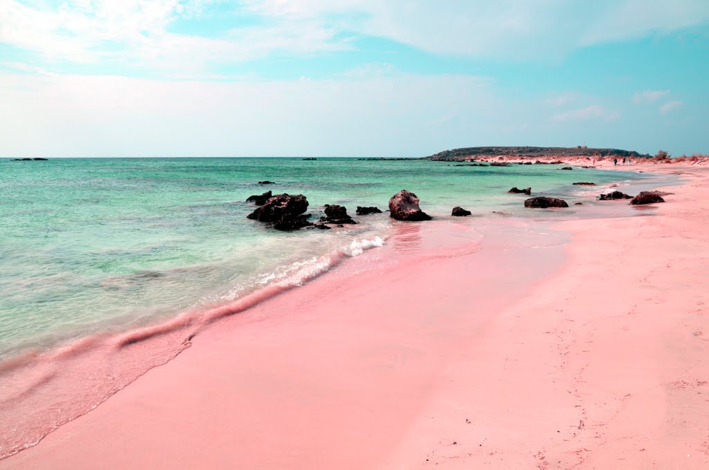 Les plages de sable rose ! La beauté à l’état pur ! TravelerCar
