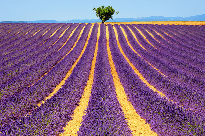 parking gratuit Provence 