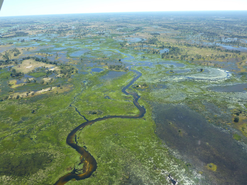 bostwana-delta-okavango-15